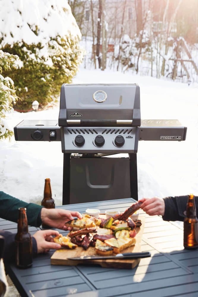 Napoleon Freestyle 365 Gas Grill