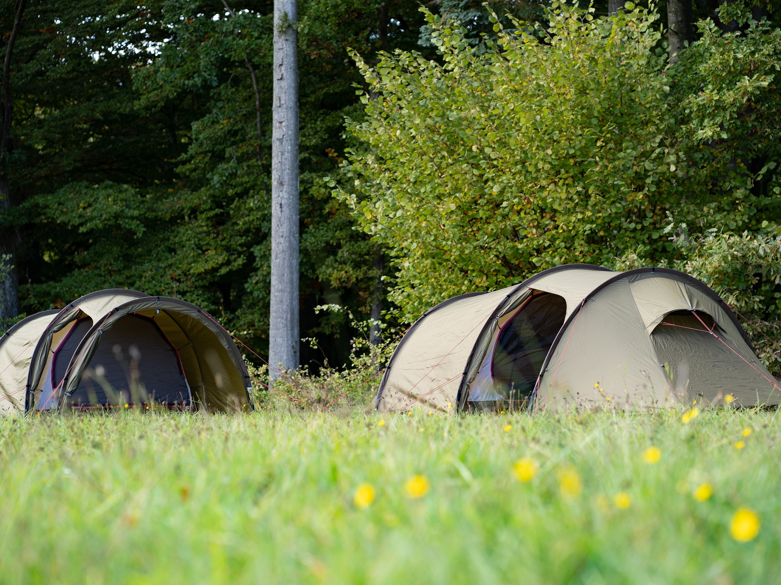 Oppland 3 PU (3.0) Tent - Dark Olive - 3 person.